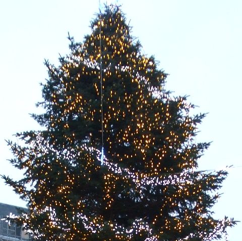 kerstboomtop